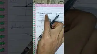 محاضرة 8 (امثلة حول الاشارات )