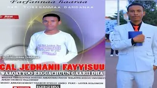 Gospcal Tokuma Dandana:Cal Jedhanii Fayyisuu Waaqayyoo Eeggachuun Gaariidha: