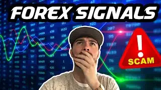 FOREX TRADING - Are Forex Signals A Scam? - MUST SEE