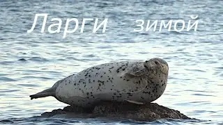 Ларги зимой | Приморский край