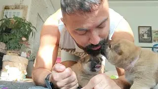 Все млермы для людей 🤗