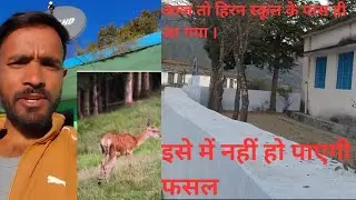 आज तो हिरन पास ही आ गया। Day 25 daily blogging with honey pahadi ❤️🙂