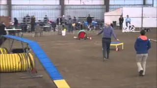 Agility Training with Handling360 is Super!