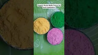 Organic Holi colors. homemade holi color. #diy #holi #festival #color #viralshorts #twinklepatel