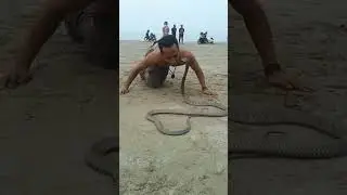 Snake Viral Video || Shorts  #shorts #snake #south #funnyvideo #news #todaynews #bangla