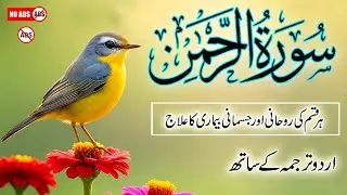 Surah Ar-Rahman with Urdu Translation | Best Quran Complete Recitation by Abdulbasit Samad | Epi 319