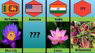 Different countries Different Types Of National Flower.