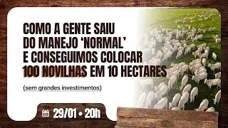 29/01 - Como a gente saiu do MANEJO 