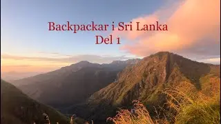 Allt är kaos...  | BACKPACKAR I SRI LANKA del 1
