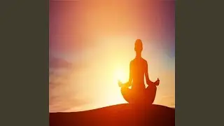 Stillness Practice
