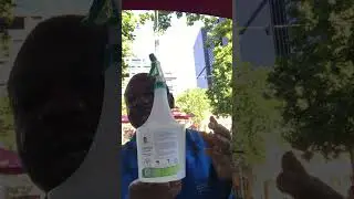 Adaolisa Universal Disinfectant is Marking World Neglected Tropical Disease (NTDs) Day 2025 by WHO.