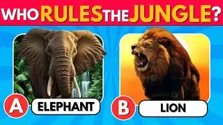 Who&rsquo;s Better? Animal Face-Off | 25 Wild Matchups | Quiz Pheonix