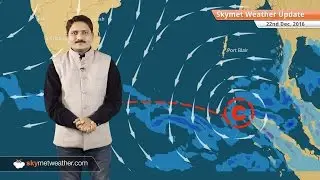 Weather Forecast for Dec 22: Cold wave in Odisha, Chhattisgarh, Fog in East UP, Bihar