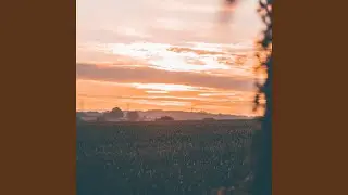 Fading Horizon