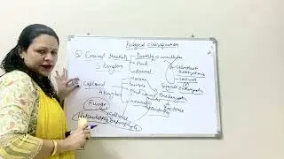 Biological classification introduction