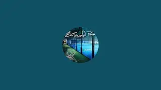 El Triunfo Padel est&aacute; en vivo