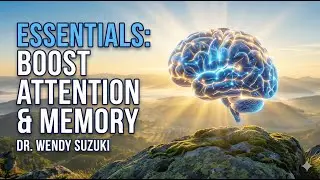 How to Grow Your Brain: The Best of Dr. Wendy Suzuki (Essentials Summary)