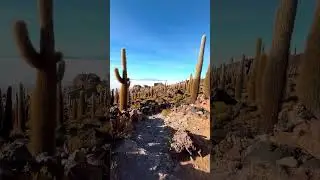 The Southern Altiplano in Bolivia (3-day Uyuni Tour) is a visual treat!  #bolivia #uyuni