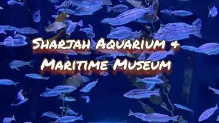 Sharjah aquarium & Maritime museum#Family Vlog