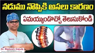 How To Diagnose Back Pain Causes | Reasons For Back Pain In Telugu | How To Cure Back Pain | Panacea