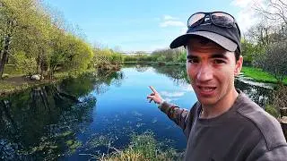 50lb Carp In A Small Pond! Can I Catch It?