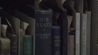 Irish Literature Collection