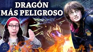 ¿Cuál es el DRAGÓN MÁS PELIGROSO de Harry Potter? | Top 10 | Ranking Harry Potter