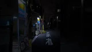 An iconic Japan vibe ✨ #tokyostreet #japanvibes #vibe #aestheic #street #night
