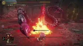Elden Ring Romina Saint of the Bud Boss Fight