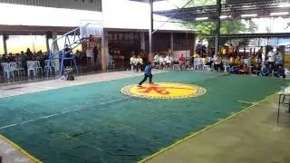 Jing Mo Chinese Kungfu 精武