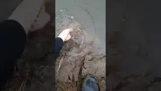 булюм булюм булюм булюм
