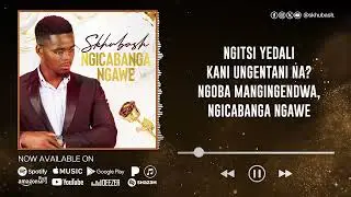 Skhubash   Ngicabanga Ngawe (Official Visualizer)