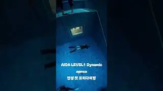 #프리다이빙 #aida #level1 #dynamicapnea