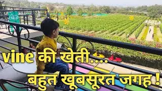 Vine की खेती, बहुत खूबसूरत जगह! @AadvaitNigamShow 