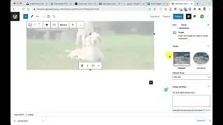 Importing Creative Commons Licensed Images into your Blog post & how to Cite them