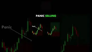 Surviving the Storm: How to Navigate Panic Selling Like a Pro! 📈🌪️