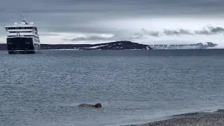 Hinlopen Strait, Svalbard