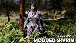 Modded Skyrim
