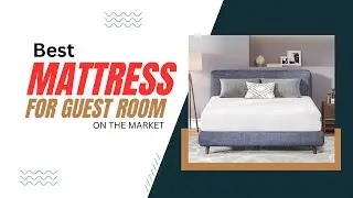 Best Mattress For Guest Room on the Market