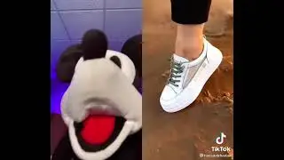 Oh boy Mickey #skatememes #memewar #memescholar #memefollow #memeaddicts #memedinner #justmemes