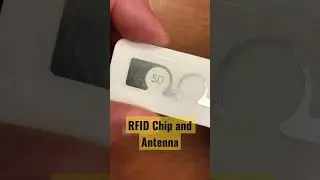 RFID Chip and Antenna