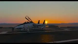 F14 Carrier Ops | Team Obey