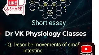 Q. Describe movements of small intestine.