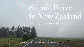 🏞️4K Scenic Drive |🧭New Zealand Maramarua Tatuanui |🌤️SH27 |🌫️Foggy |🎧Soft Music | 新西兰风景自驾 | 轻音乐