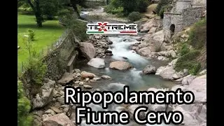 Ripopolamento Riserva Fiume Cervo (BI)
