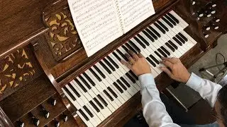 Trumpet Voluntary - John Stanley - Doherty Cathedral Reed Organ