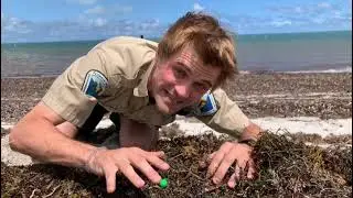 Why The Beach Smells Funky
