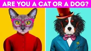 Is Your Personality More Like A Cat Or A Dog?