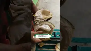 Coconut cutting machine +91 9940534686 #coconutcuttingskills #coconutcutter