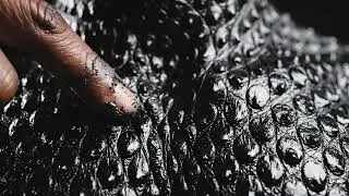 Human finger touching a Slimy bubble wrap Human skin